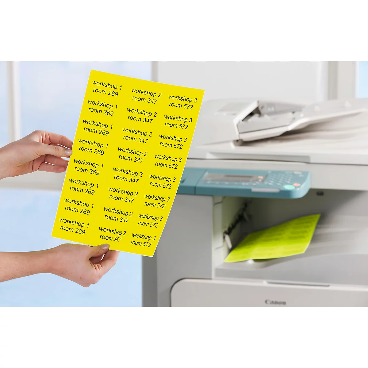 Avery Neon Labels L6004-25, voor etikettering, afneembaar, papier, geel, 63,5 x 29,6 mm, 25 x A4 vellen, 675 stuks.