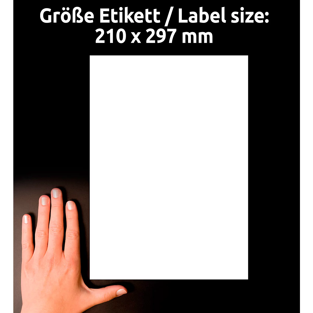 A hand holds a white sheet of paper against a black background. The image reads "Größe Etikett / Label size: 210 x 297 mm".