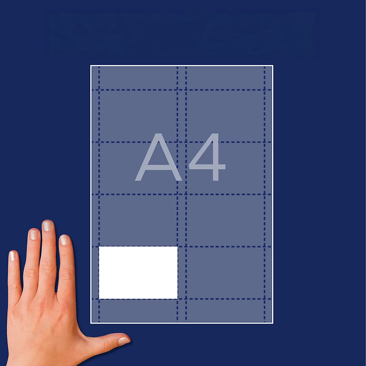 A4-Bogen mit gestrichelten Linien, der in mehrere 90 x 60 mm große Schilder unterteilt ist.