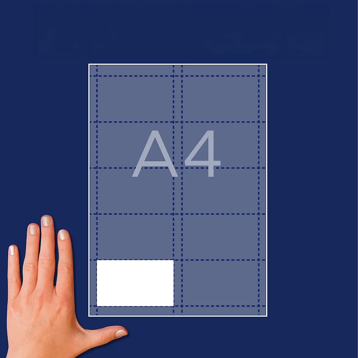 A4-vel met voorgestanste visitekaartjes (90x54 mm) en een hand voor schaalvergelijking.