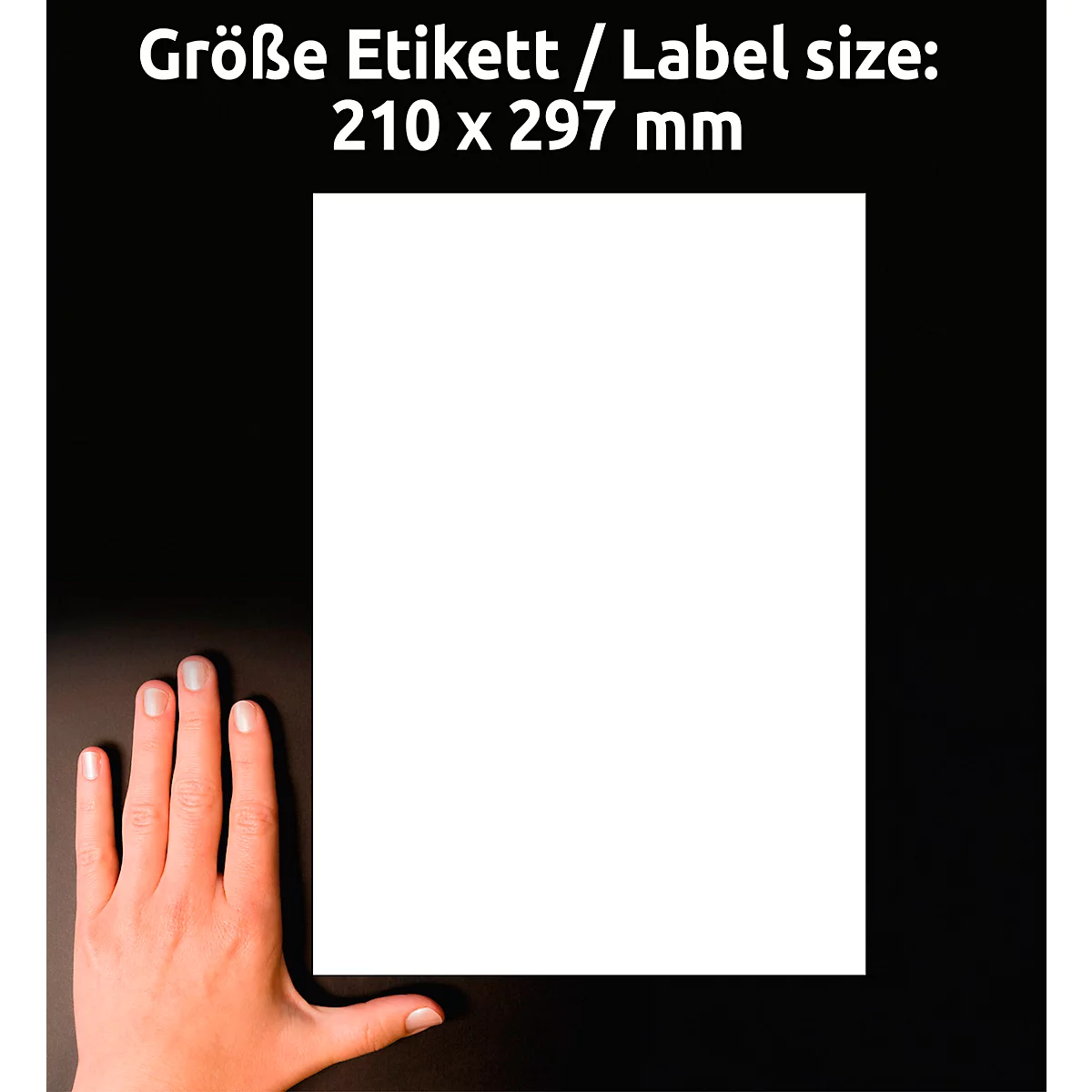 Avery Zweckform Universal-Etiketten, 100 Etiketten, 210 x 297 mm