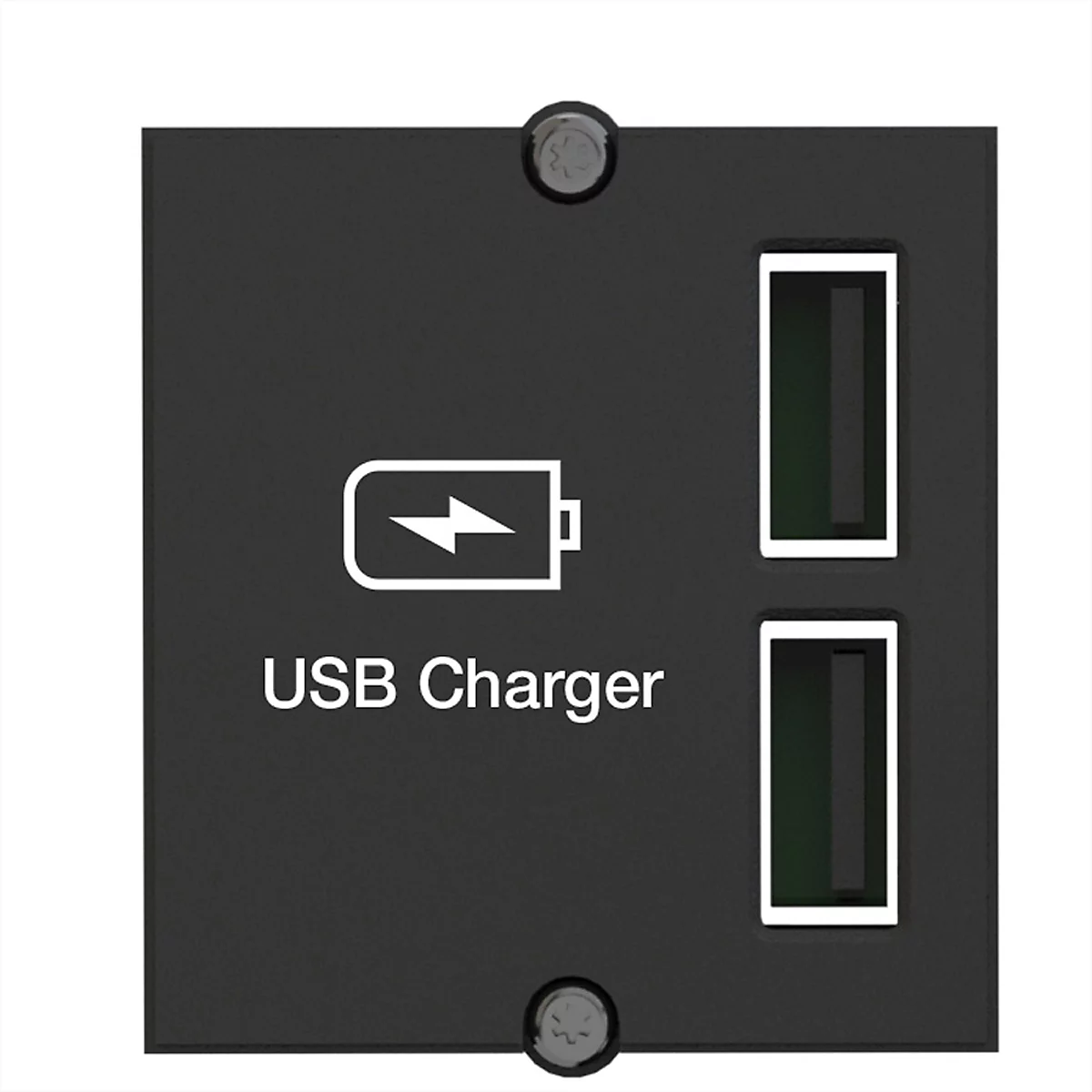 Schwarze USB-Ladestation mit zwei USB-Anschlüssen, Beschriftung "USB Charger" und Batterieladesymbol.