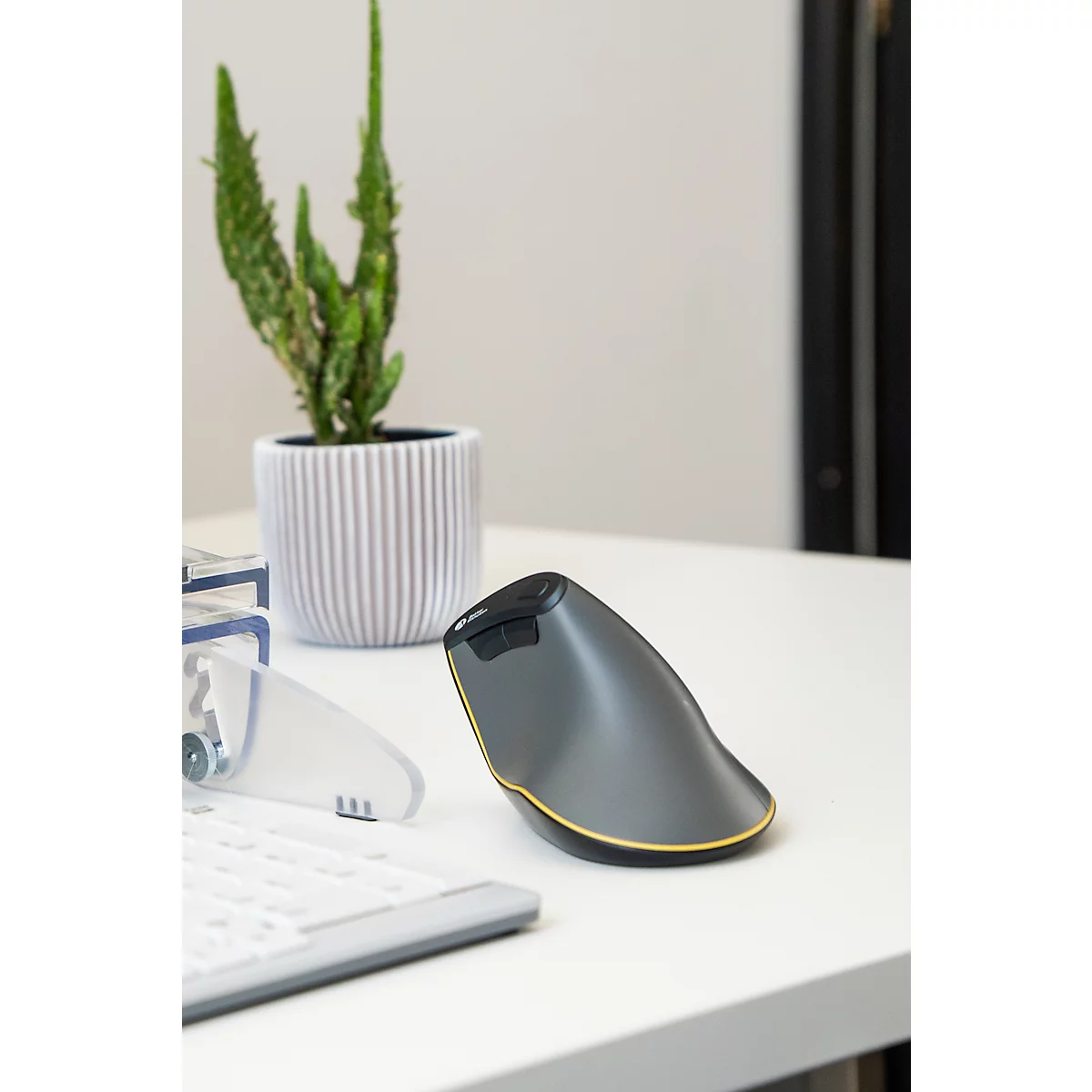 Eine ergonomische, graue Maus mit goldenem Rand liegt auf einem weißen Tisch. Auf dem Tisch stehen auch eine Pflanze und eine Tastatur.