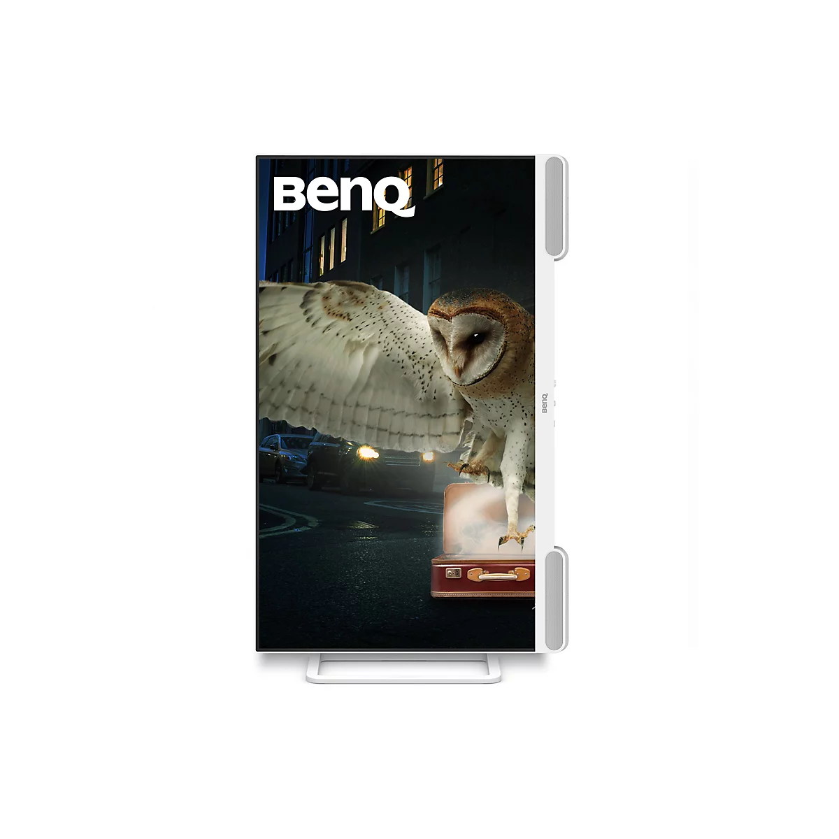 Ein BenQ-Monitor mit einem Bild einer Eule, die auf einem Koffer in einer nächtlichen Straßenszene steht.