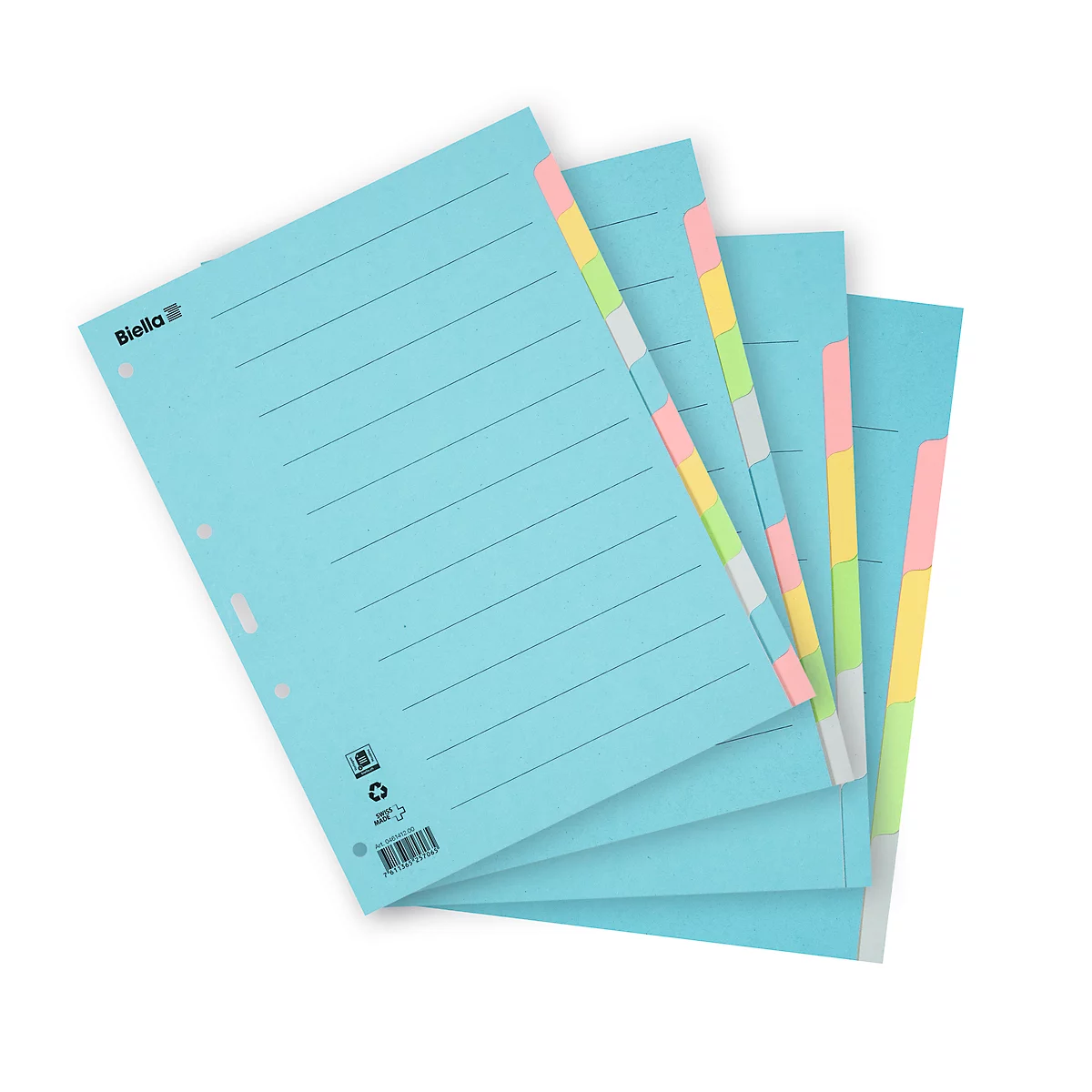 Biella Register Karton blanko A4, 5-teilig