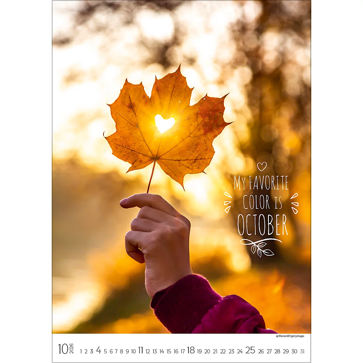 Bildkalender Korsch Seasons 2026, mit Fotomotiven, Illustrationen und Deko-Elementen, B 300 x H 420 mm, Papier
