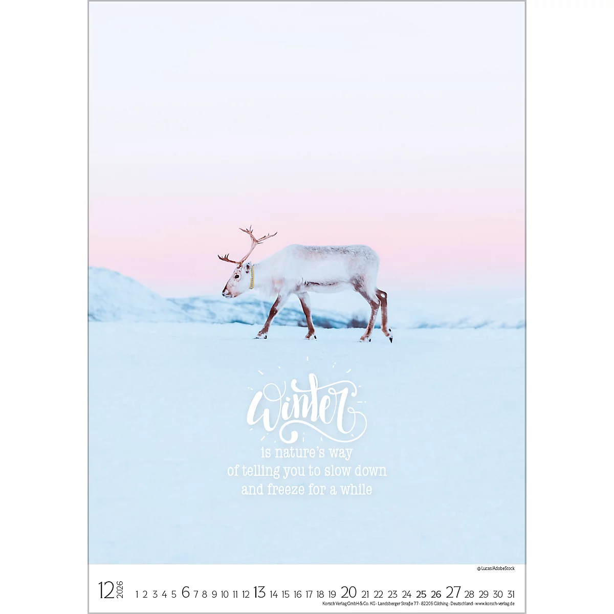Bildkalender Korsch Seasons 2026, mit Fotomotiven, Illustrationen und Deko-Elementen, B 300 x H 420 mm, Papier