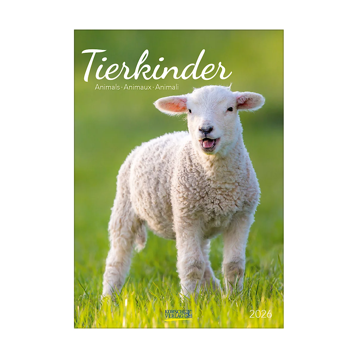 Bildkalender Korsch Tierkinder 2026, mit Tierbaby-Fotomotiven, B 235 x H 335 mm, Papier