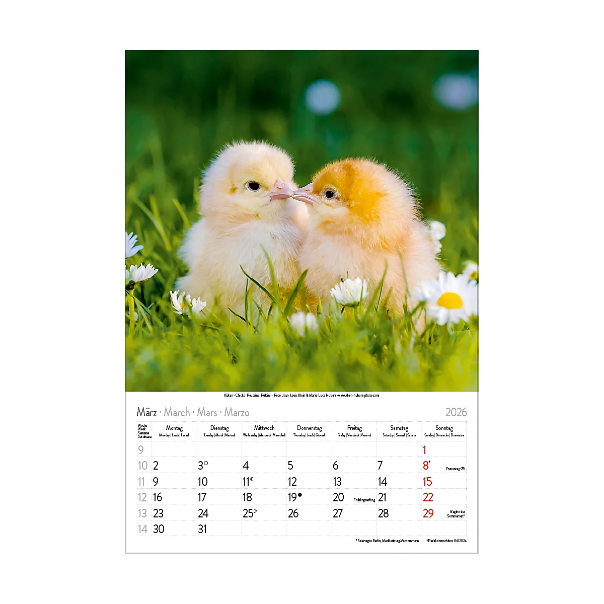 Bildkalender Korsch Tierkinder 2026, mit Tierbaby-Fotomotiven, B 235 x H 335 mm, Papier