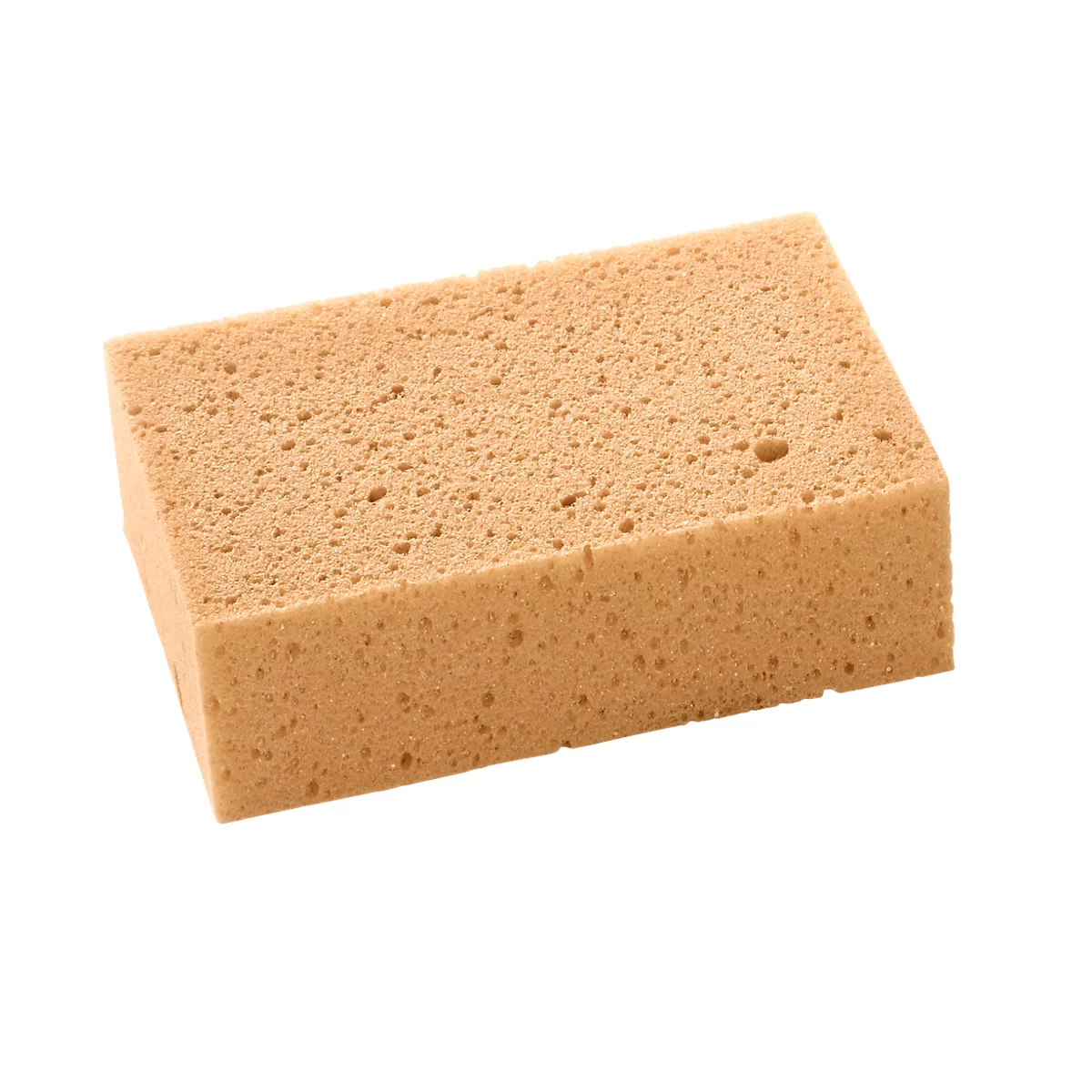A rectangular beige sponge with a porous structure against a white background.
