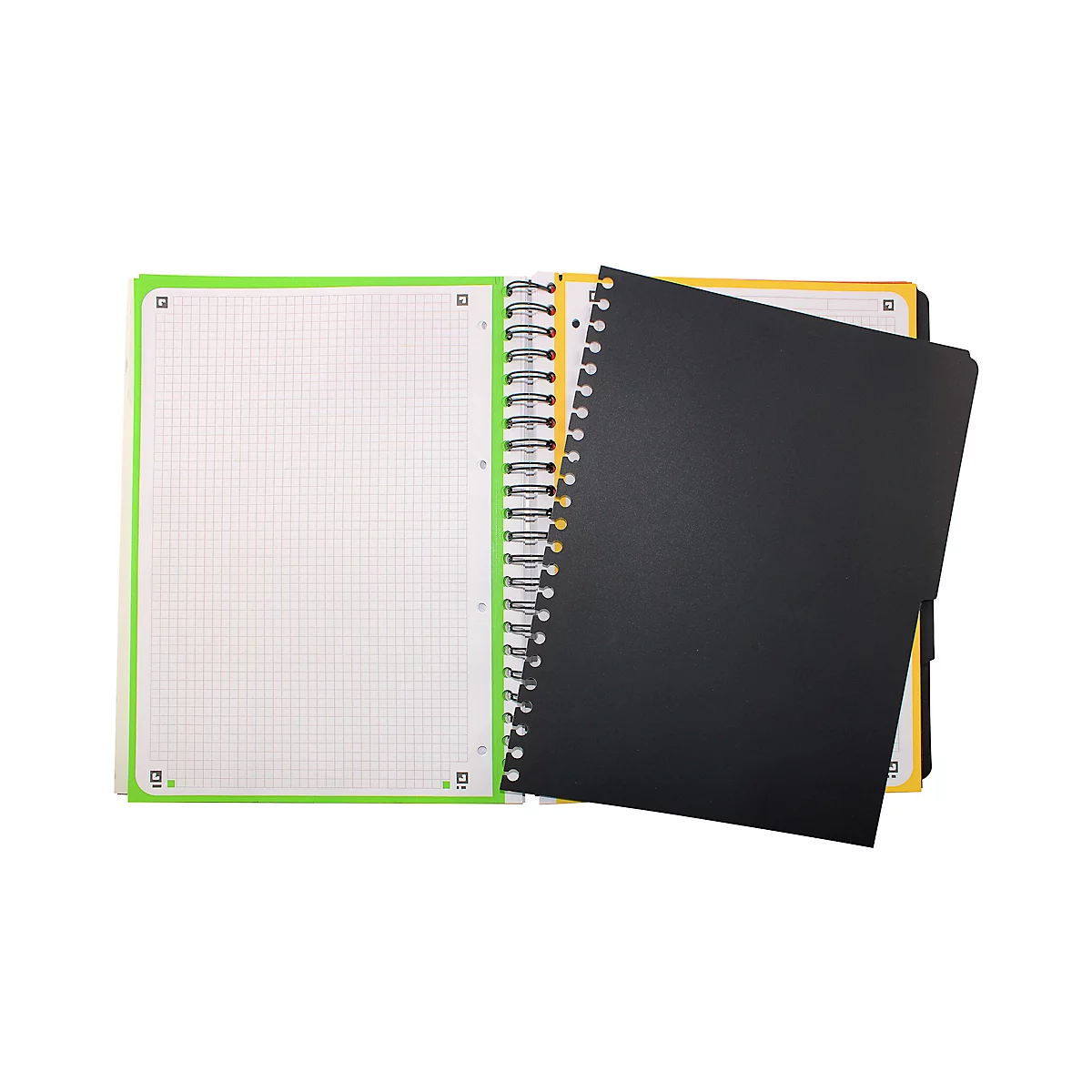Bloc-notes collège Oxford TOUCH European Book, DIN A4+, quadrillé, Optik Paper®, reliure double spirale, avec tableau blanc, baie