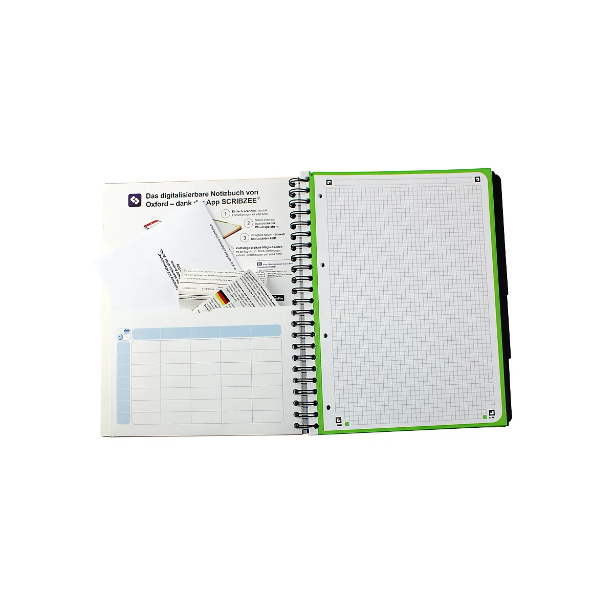 Bloc-notes collège Oxford TOUCH European Book, DIN A4+, quadrillé, Optik Paper®, reliure double spirale, avec tableau blanc, baie