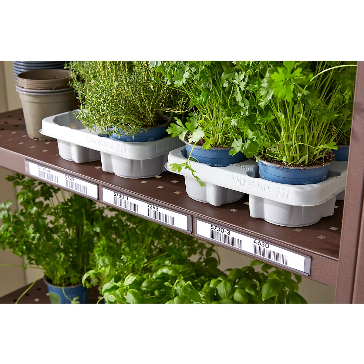 Blumen-/Allround-Steckregal ORDO Flex, multifunktional, 4 Fachböden mit Lochung, Wannenboden, Feldlast 1200 kg, B 1060 x T 435 x H 2000 mm, pulverbeschichtet, rostfarben/braun