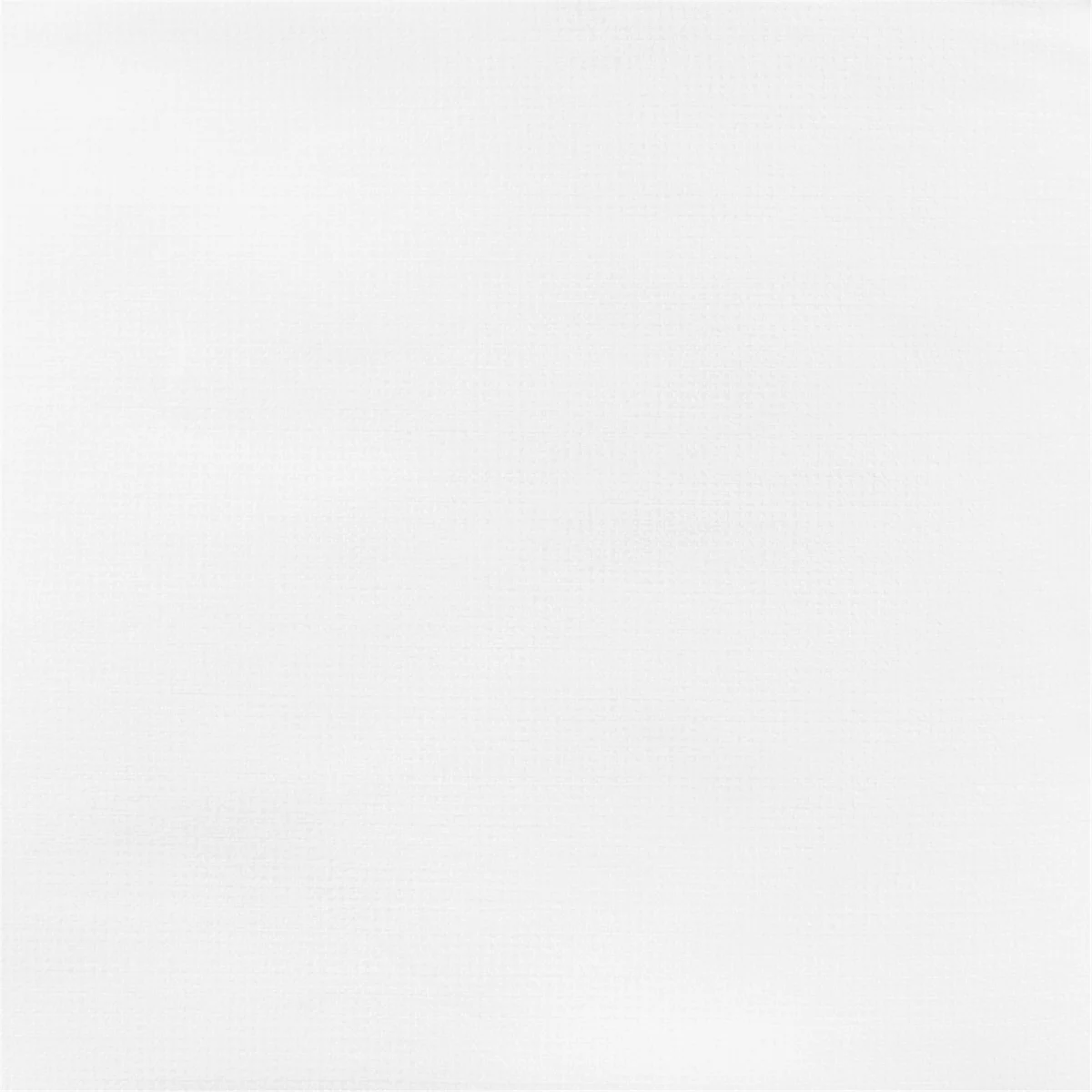 Image blanche avec une texture fine qui crée un léger tramage.