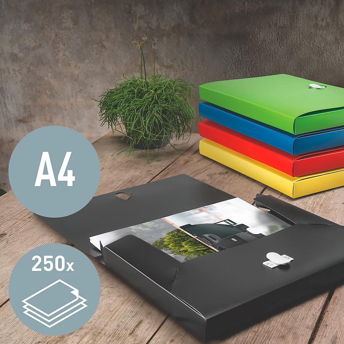 Boîte de classement Leitz Recycle, jusqu'à DIN A4, largeur de dos 30 mm, pour jusqu'à 250 feuilles, PP, vari. couleurs