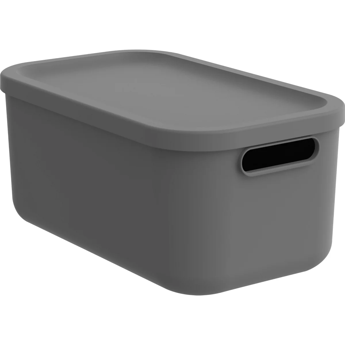 Boîte de transport Rotho Albula, volume 12 l, empilable, avec couvercle amovible et trous de préhension, L 395 x l 235 x H 177 mm, plastique recyclé, anthracite