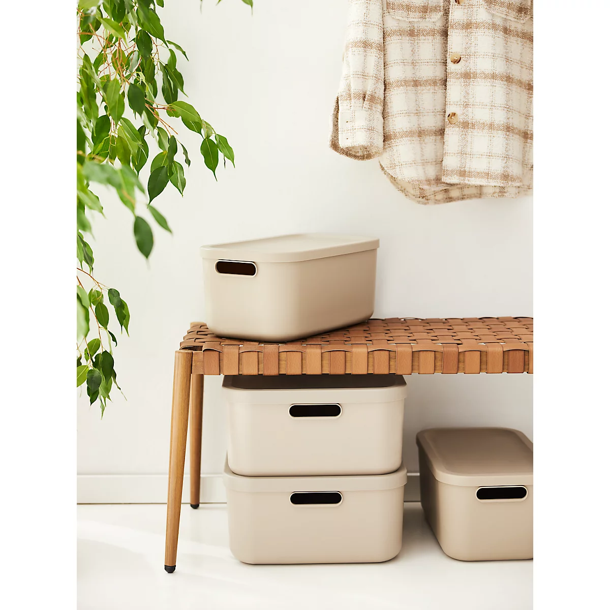 Boîte de transport Rotho Albula, volume 12 l, empilable, avec couvercle amovible et trous de préhension, L 395 x l 235 x H 177 mm, plastique recyclé, marron