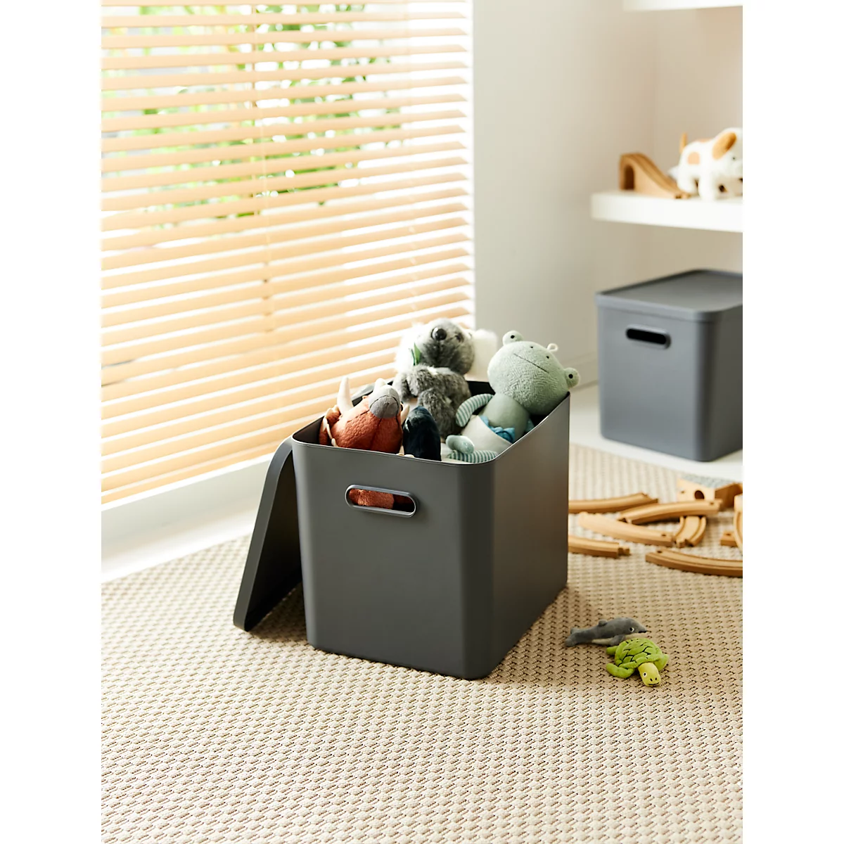 Boîte de transport Rotho Albula, volume 27 l, empilable, avec couvercle amovible et trous de préhension, L 370 x l 290 x H 295 mm, plastique recyclé, anthracite