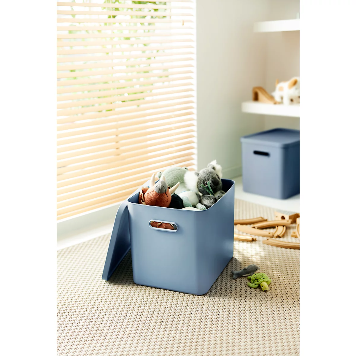 Boîte de transport Rotho Albula, volume 27 l, empilable, avec couvercle amovible et trous de préhension, L 370 x l 290 x H 295 mm, plastique recyclé, bleu