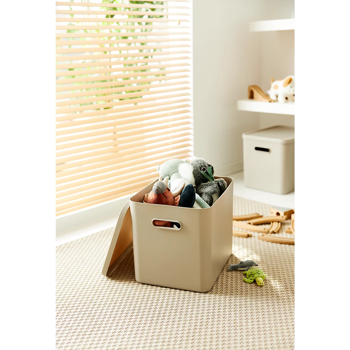 Boîte de transport Rotho Albula, volume 27 l, empilable, avec couvercle amovible et trous de préhension, L 370 x l 290 x H 295 mm, plastique recyclé, marron
