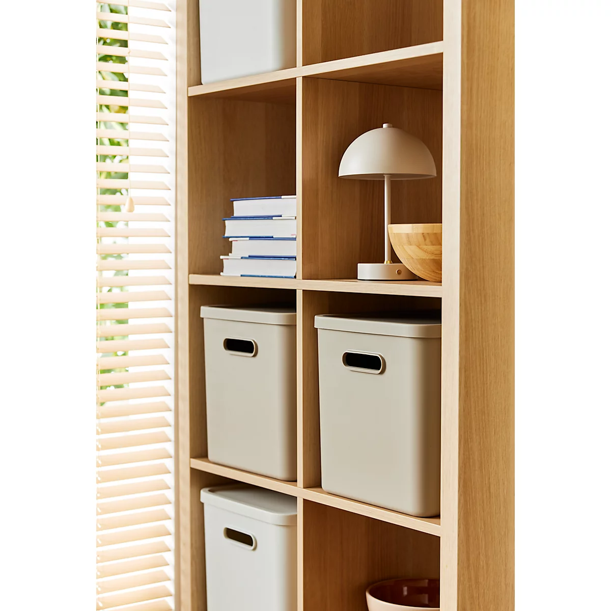 Boîte de transport Rotho Albula, volume 27 l, empilable, avec couvercle amovible et trous de préhension, L 370 x l 290 x H 295 mm, plastique recyclé, marron