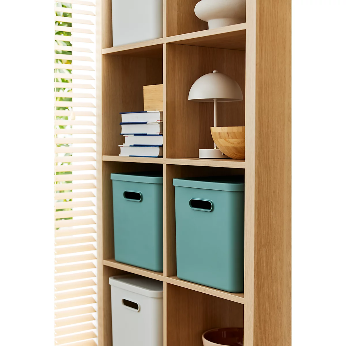 Boîte de transport Rotho Albula, volume 27 l, empilable, avec couvercle amovible et trous de préhension, L 370 x l 290 x H 295 mm, plastique recyclé, vert