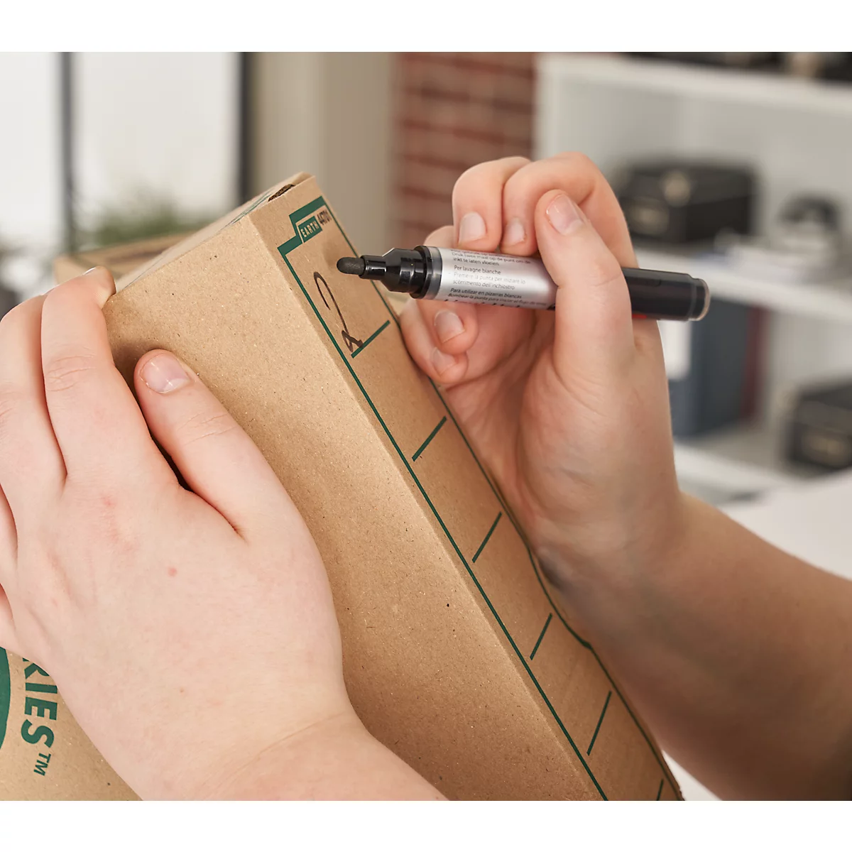 Boîtes d'archives Earth Serie - 100 % carton recyclé - pour format A4 - dos 80 mm- 20 pièces