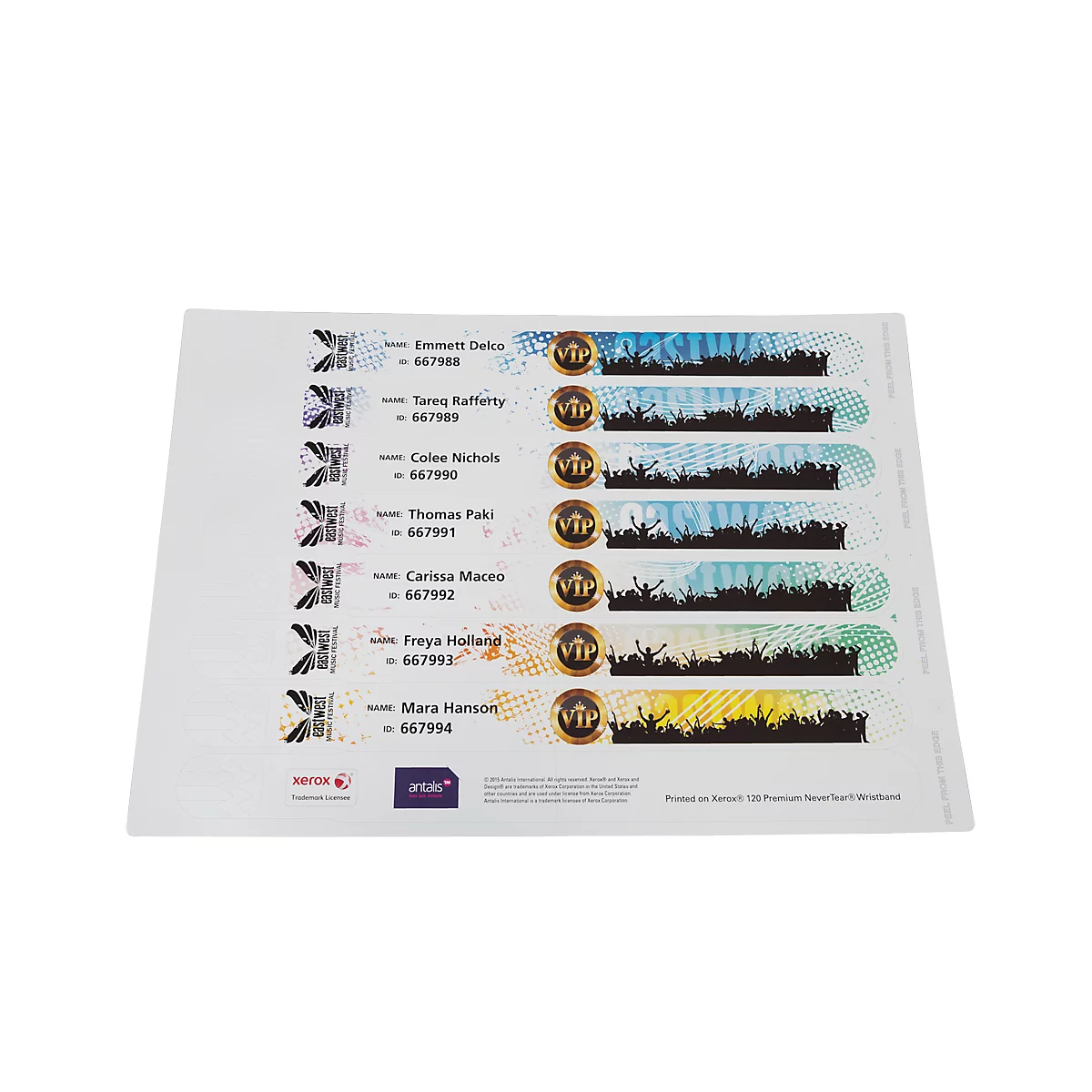 Bracelets Xerox Premium NeverTear, 120 µm, blancs, imperméables, perforés, format A4, 100 feuilles, 8 pcs/sheet