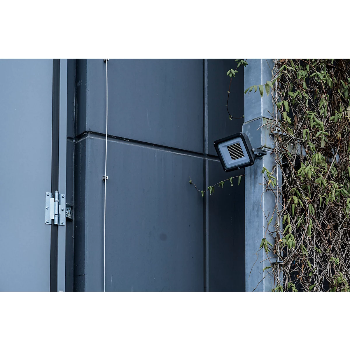 Dunkelgraue Fassade mit Eckleuchte, Bewuchs, und Metallkabel. Rechts Pflanzenranken, links Scharniere.