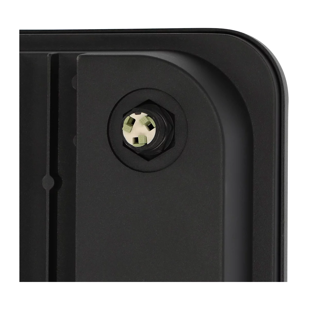 Eine LED-Leuchte erhellt eine grüne Fassade, die mit Pflanzen bewachsen ist.