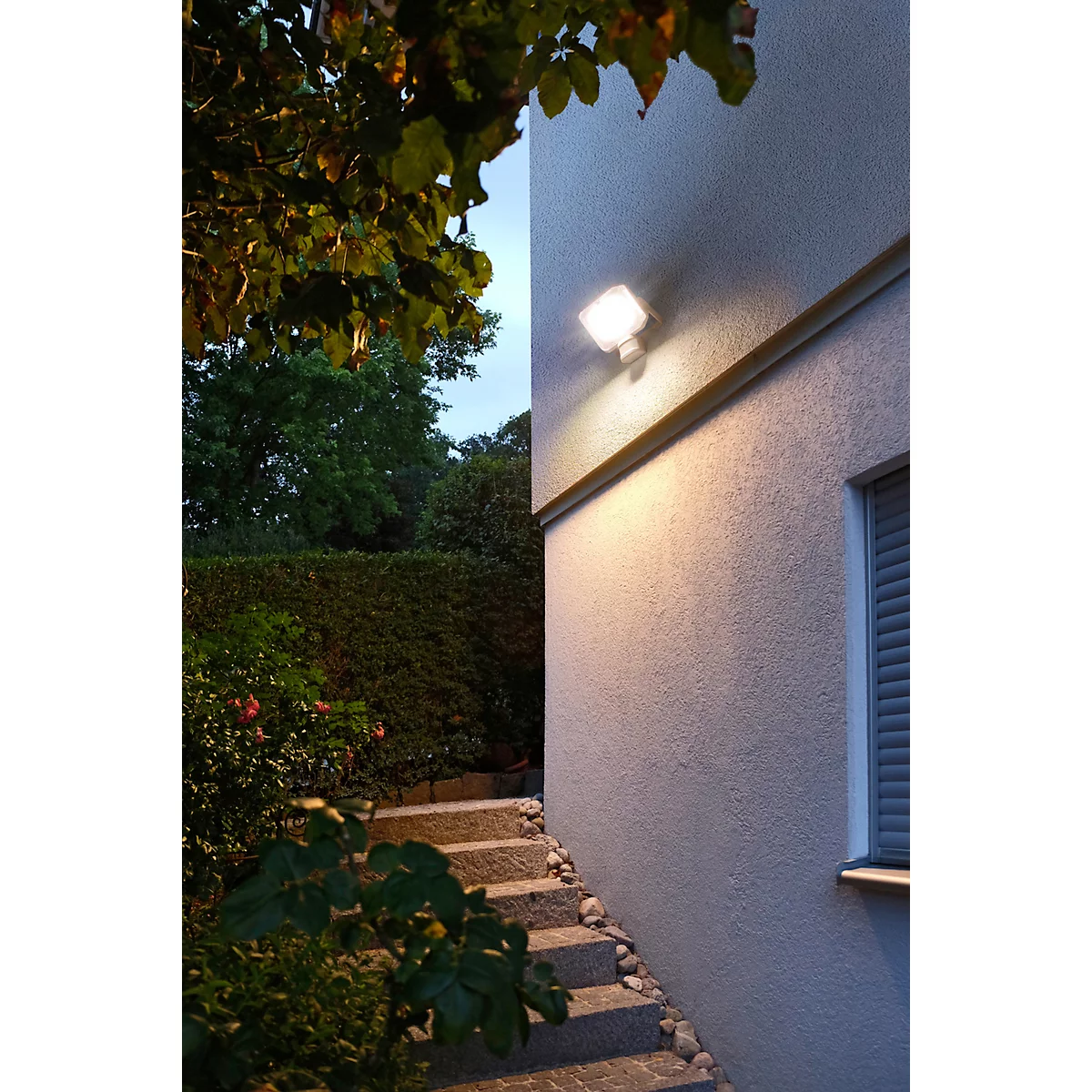 Buitenmuur met licht, trap en groene planten. De muur wordt verlicht door een spot.