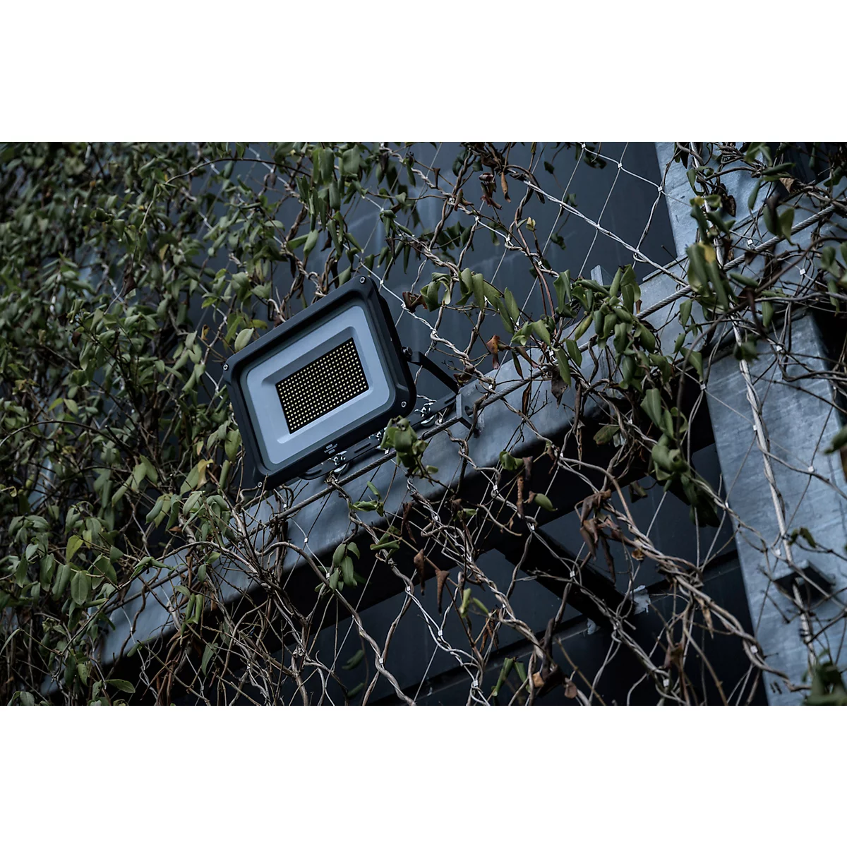 Lampe d'extérieur sombre sur clôture grillagée. Des lianes végétales entourent la lampe, qui présente une grille.