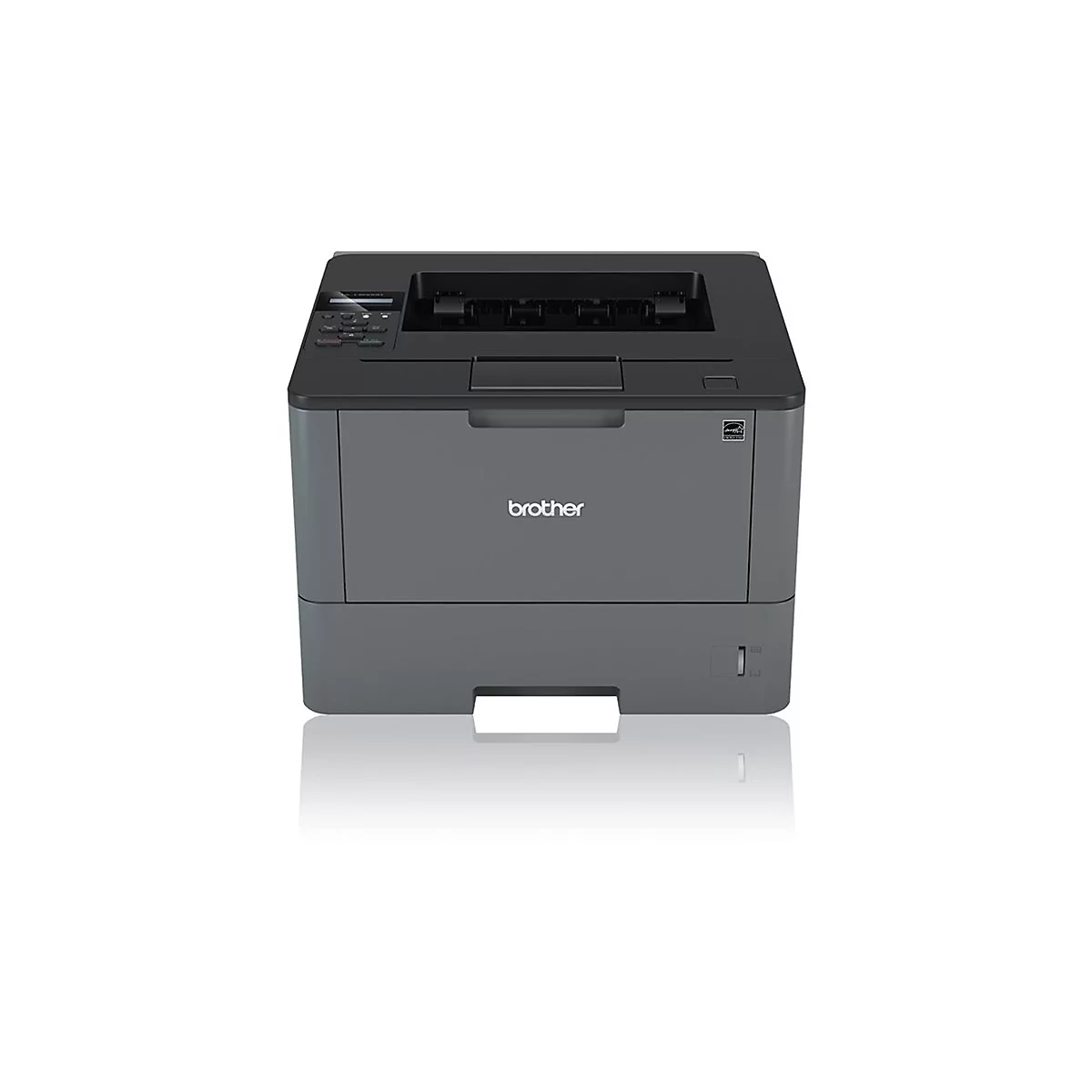 Grauer Brother-Laserdrucker. Das Gerät steht vor weißem Hintergrund und spiegelt sich leicht. Das Logo "brother" ist deutlich sichtbar.