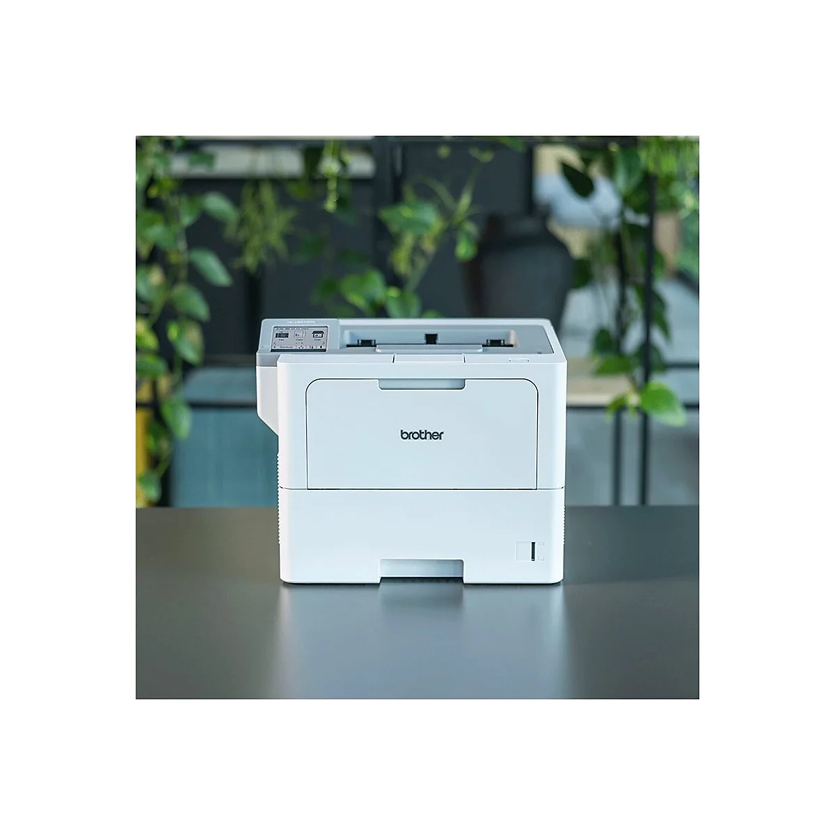 Brother HL-L6415DN - Drucker - s/w - Duplex - Laser - A4/Legal
