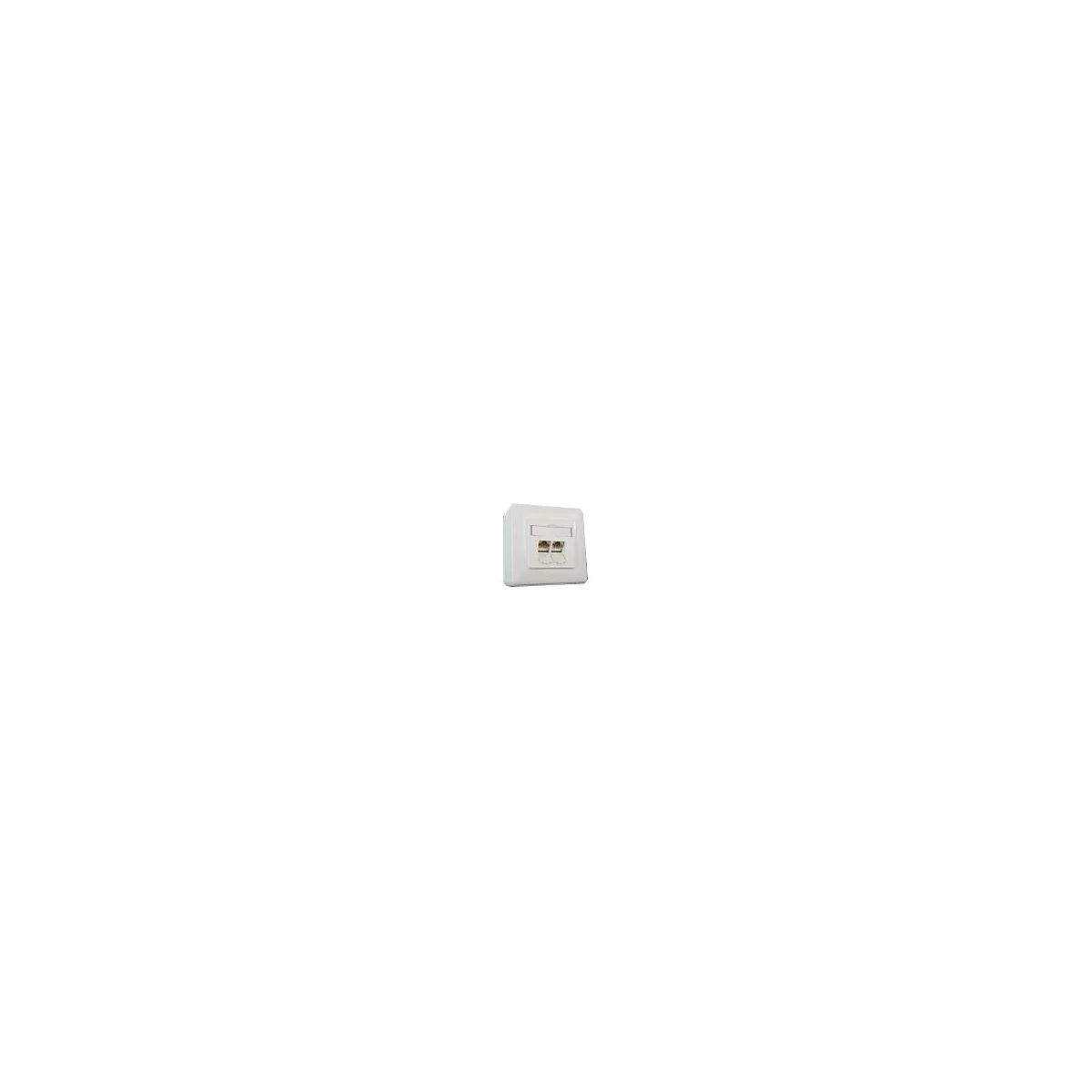 BTR IT CONNECT E-DAT C6 8/8(8) AP Cat.6 - Wanddose - CAT 6 - RJ-45 X 2 - Pure White, RAL 9010