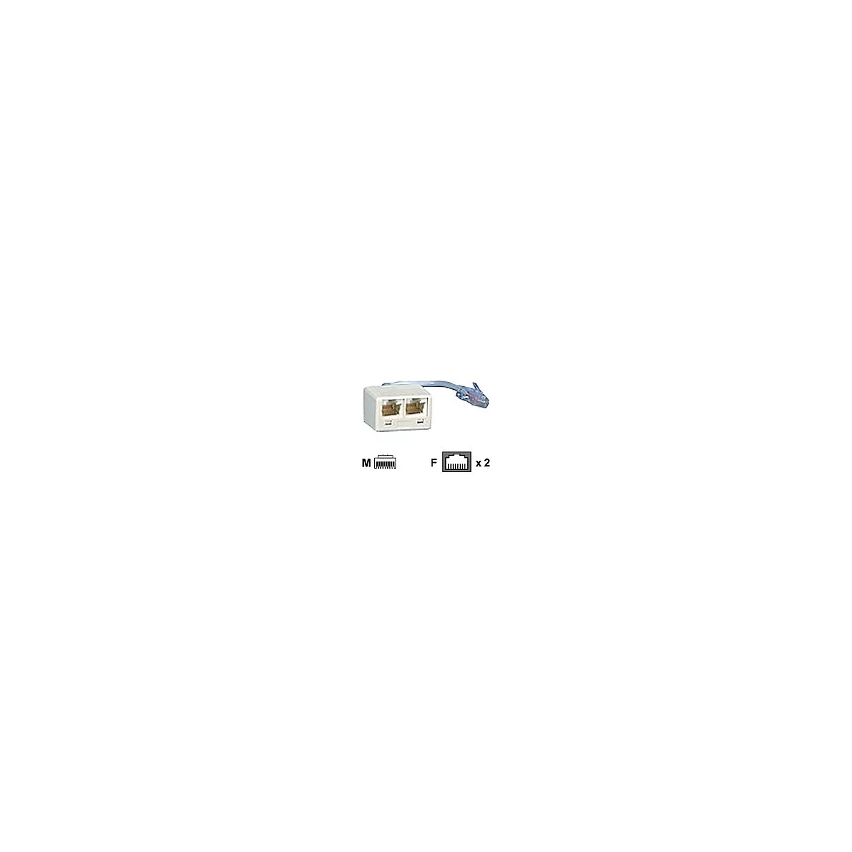 BTR - Netzwerk-Splitter - RJ-45 (M) zu RJ-45 (W) - 10 cm