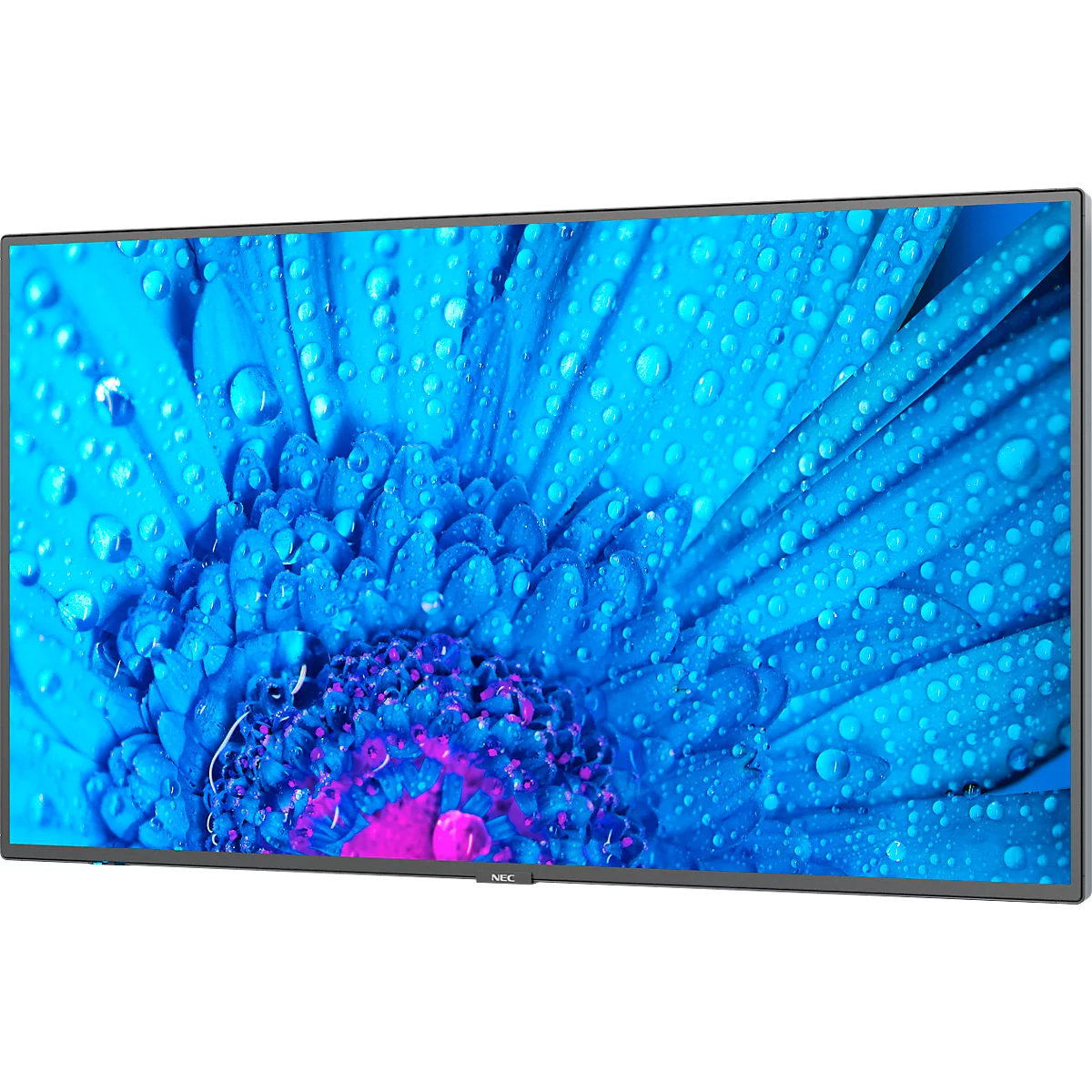 Business Monitor Sharp/NEC MultiSync® M751, 75', 3840 x 2160 px, IPS Panel, HDMI/DisplayPort/USB/LAN, 2 x 10 W, Dauerbetrieb