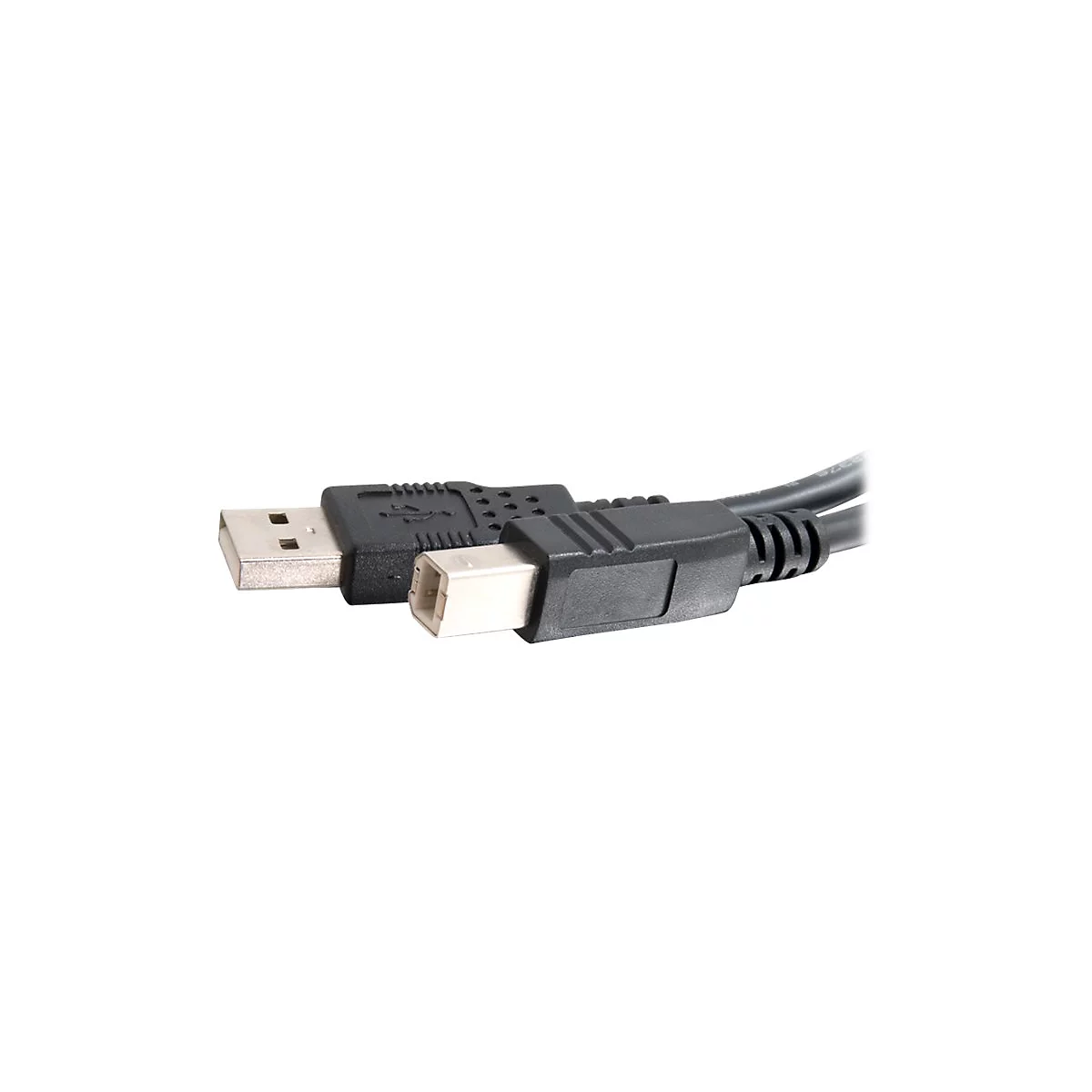 Nahaufnahme zweier schwarzer USB-Kabel mit unterschiedlichen Steckern, vor weißem Hintergrund.