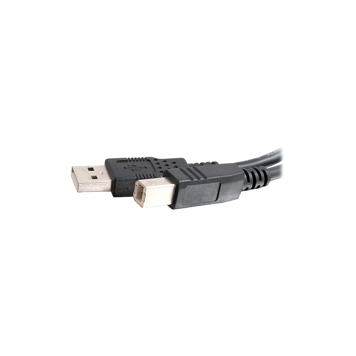 Nahaufnahme von zwei USB-Kabeln mit unterschiedlichen Steckern, vor weißem Hintergrund.