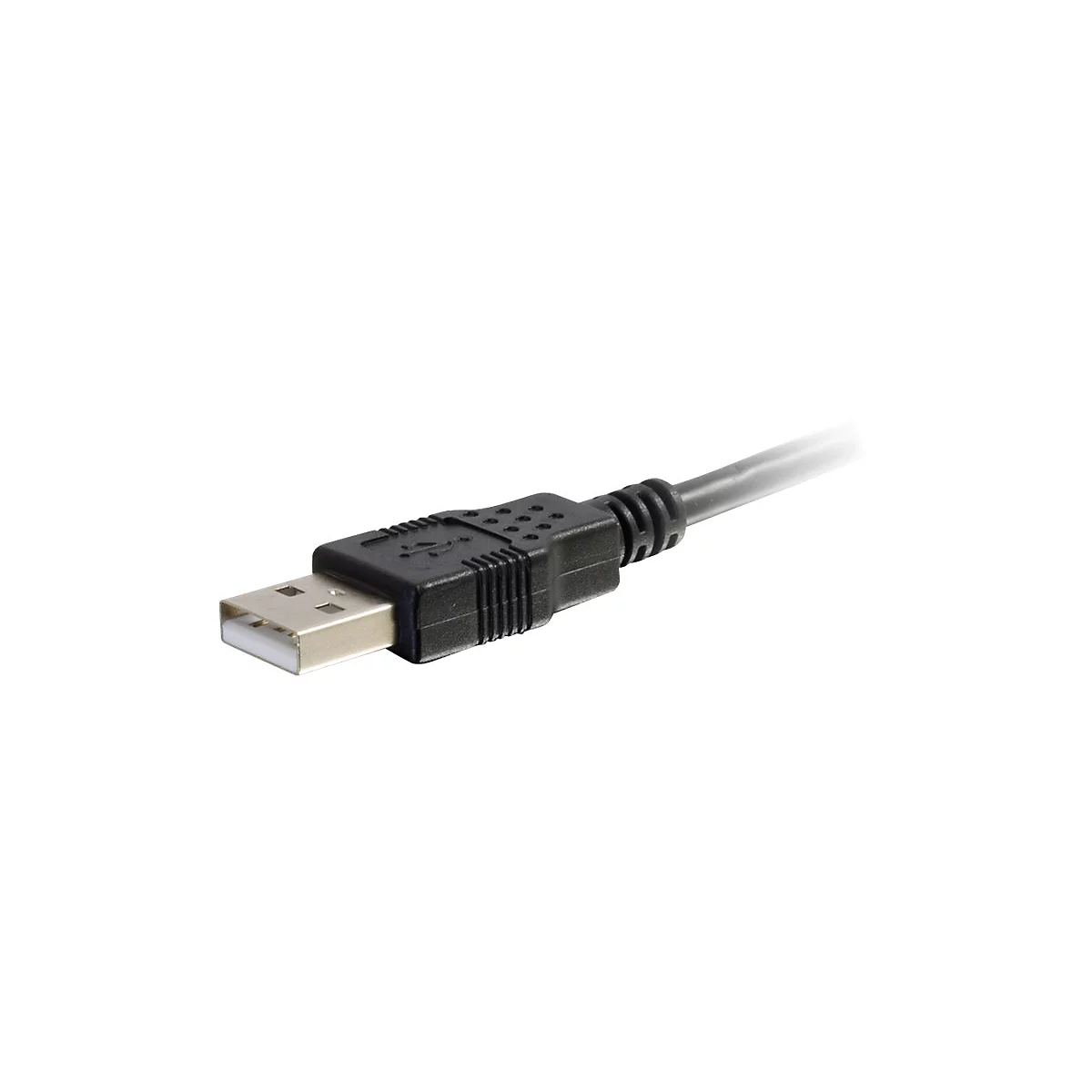 Ein USB-Kabel mit schwarzem Stecker und hellem Metallende, vor weißem Hintergrund.