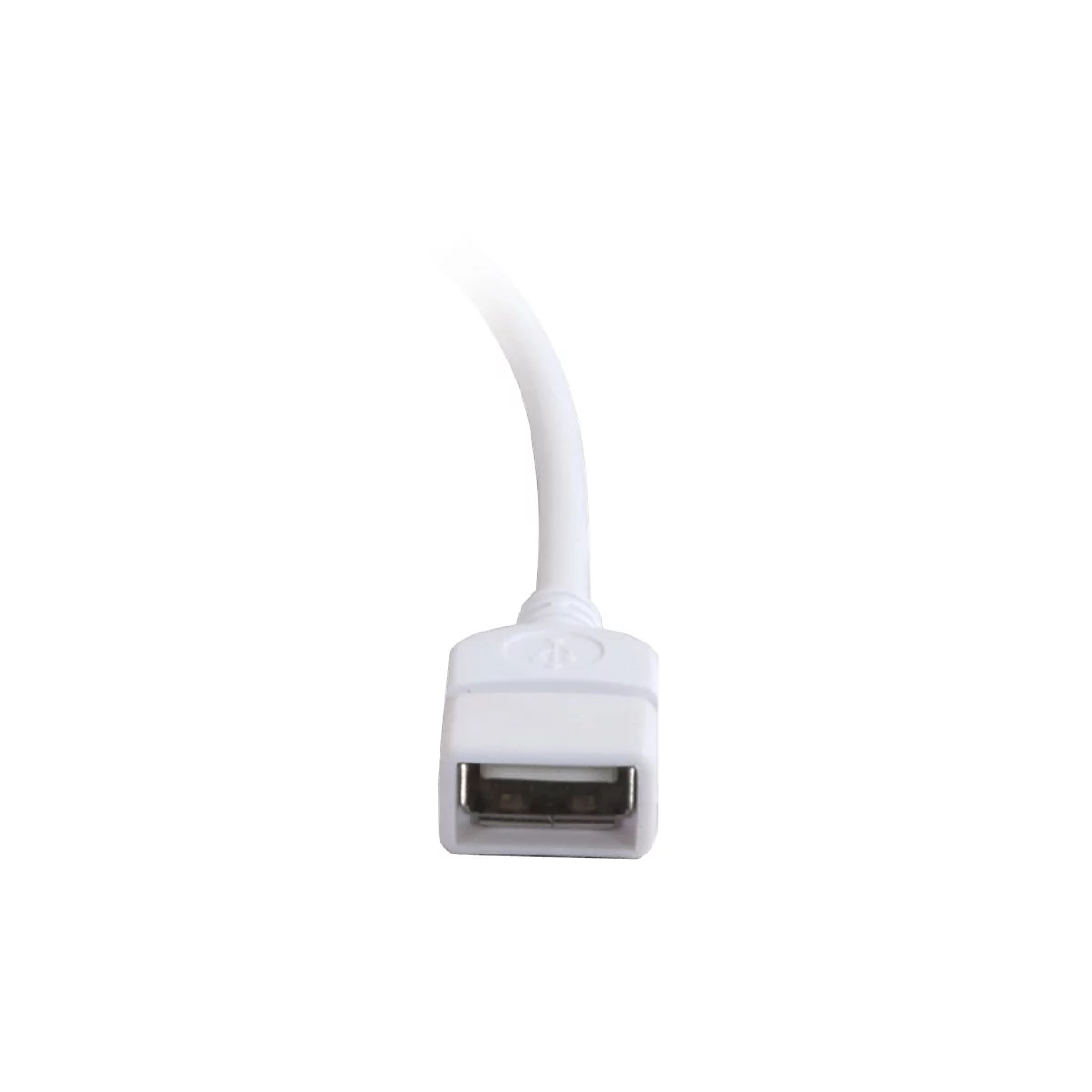 Nahaufnahme eines weißen USB-A-Steckers auf weißem Hintergrund.