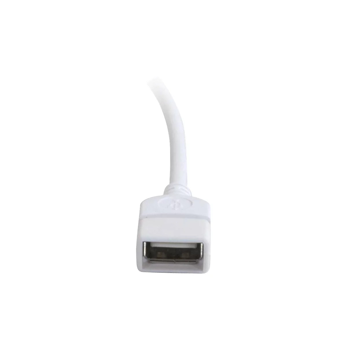 Nahaufnahme eines weißen USB-A-Anschlusses mit angeschlossenem Kabel, isoliert auf weißem Hintergrund.