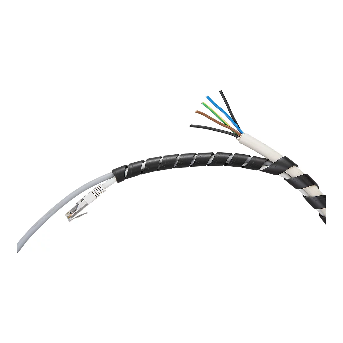 Grey network cable with black spiral. End shows colored wires. One end with plug.