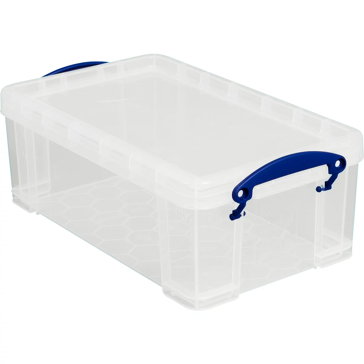 Caja de plástico transparente con asa azul. La tapa está bien cerrada.