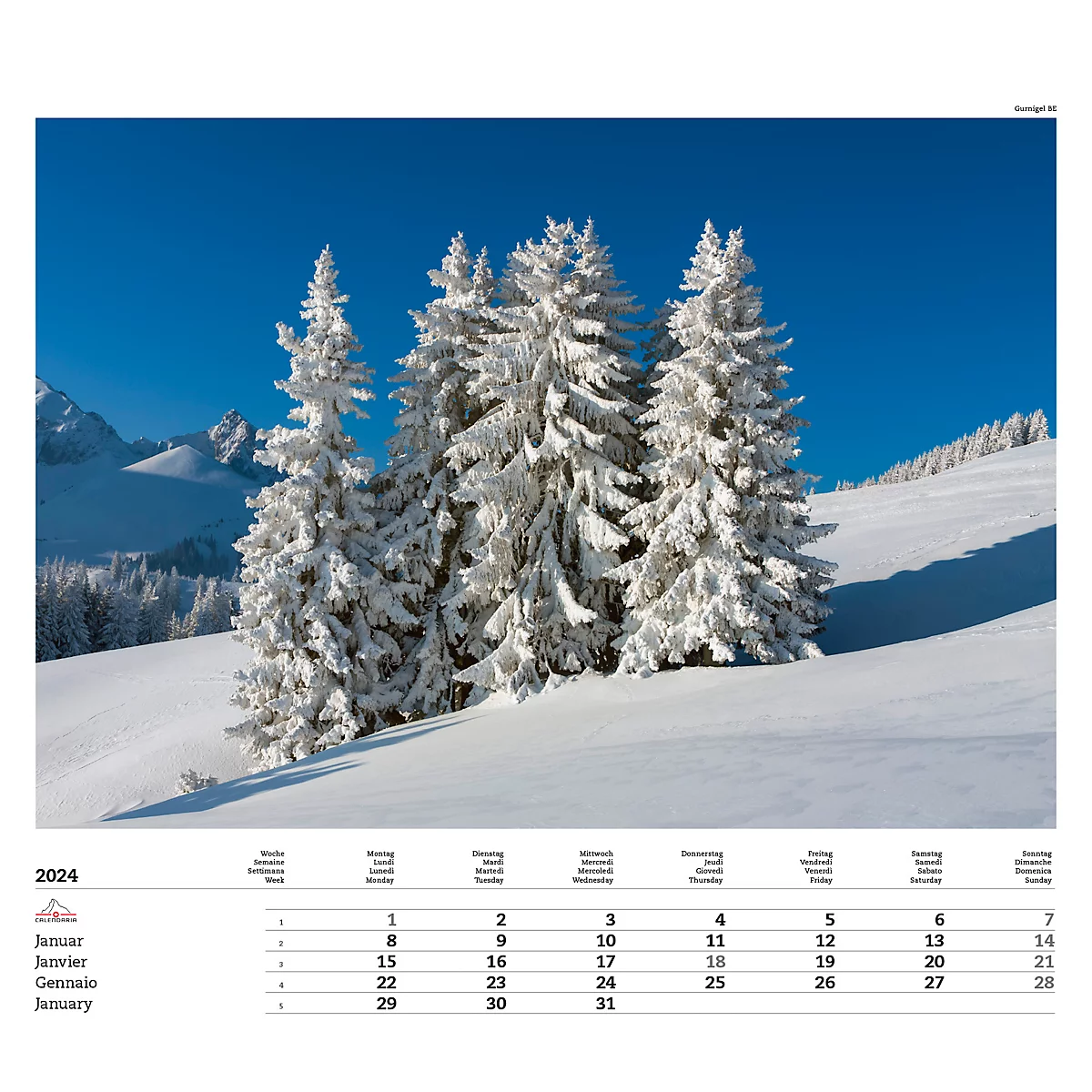 Calendrier illustré 'arborescent' Swiss Trees, L 490 x H 440 mm, format horizontal, calendrier DE/F/I/GB