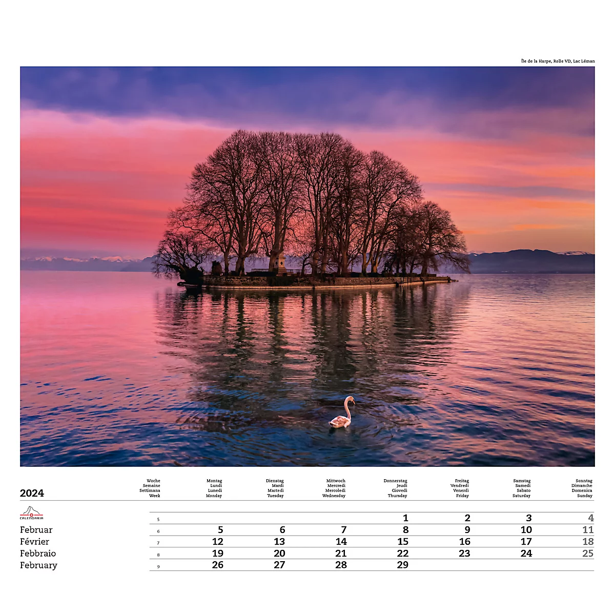 Calendrier illustré 'arborescent' Swiss Trees, L 490 x H 440 mm, format horizontal, calendrier DE/F/I/GB