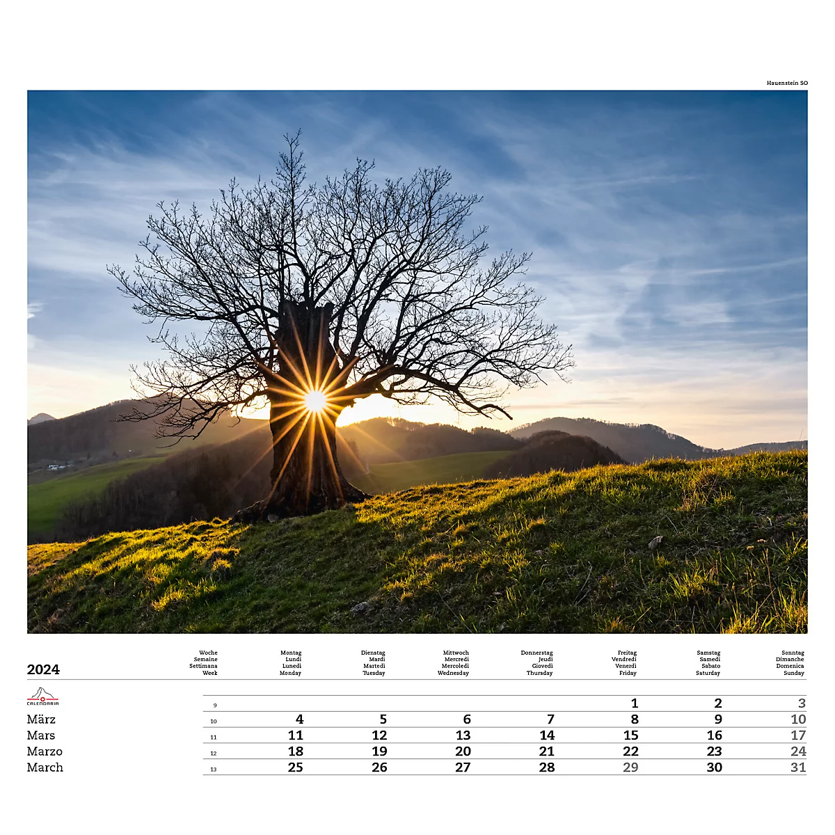 Calendrier illustré 'arborescent' Swiss Trees, L 490 x H 440 mm, format horizontal, calendrier DE/F/I/GB