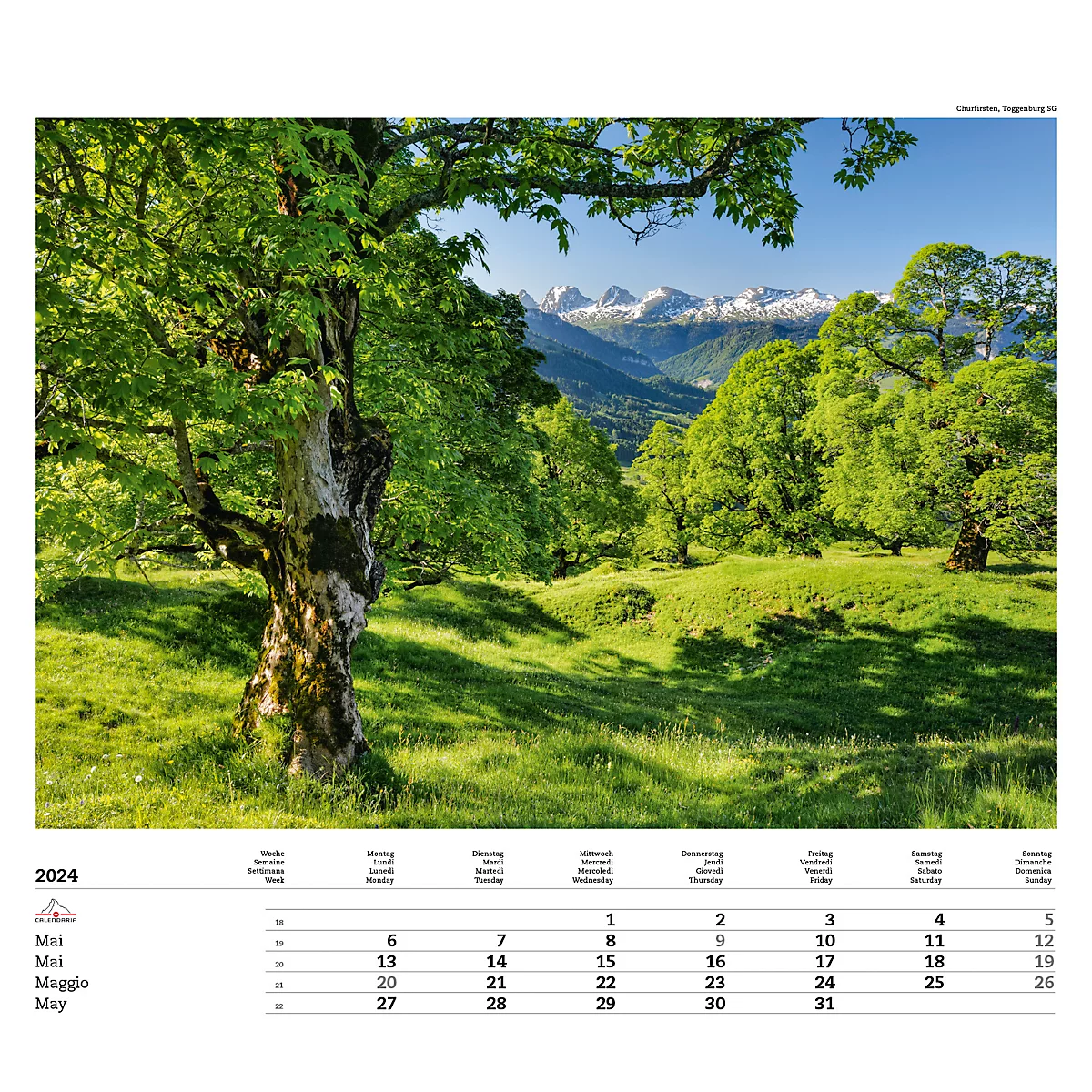 Calendrier illustré 'arborescent' Swiss Trees, L 490 x H 440 mm, format horizontal, calendrier DE/F/I/GB
