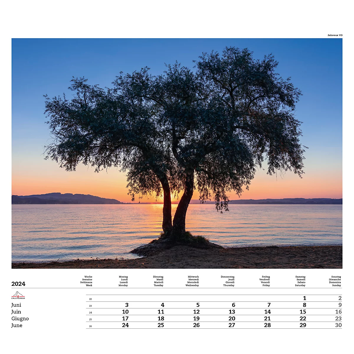 Calendrier illustré 'arborescent' Swiss Trees, L 490 x H 440 mm, format horizontal, calendrier DE/F/I/GB