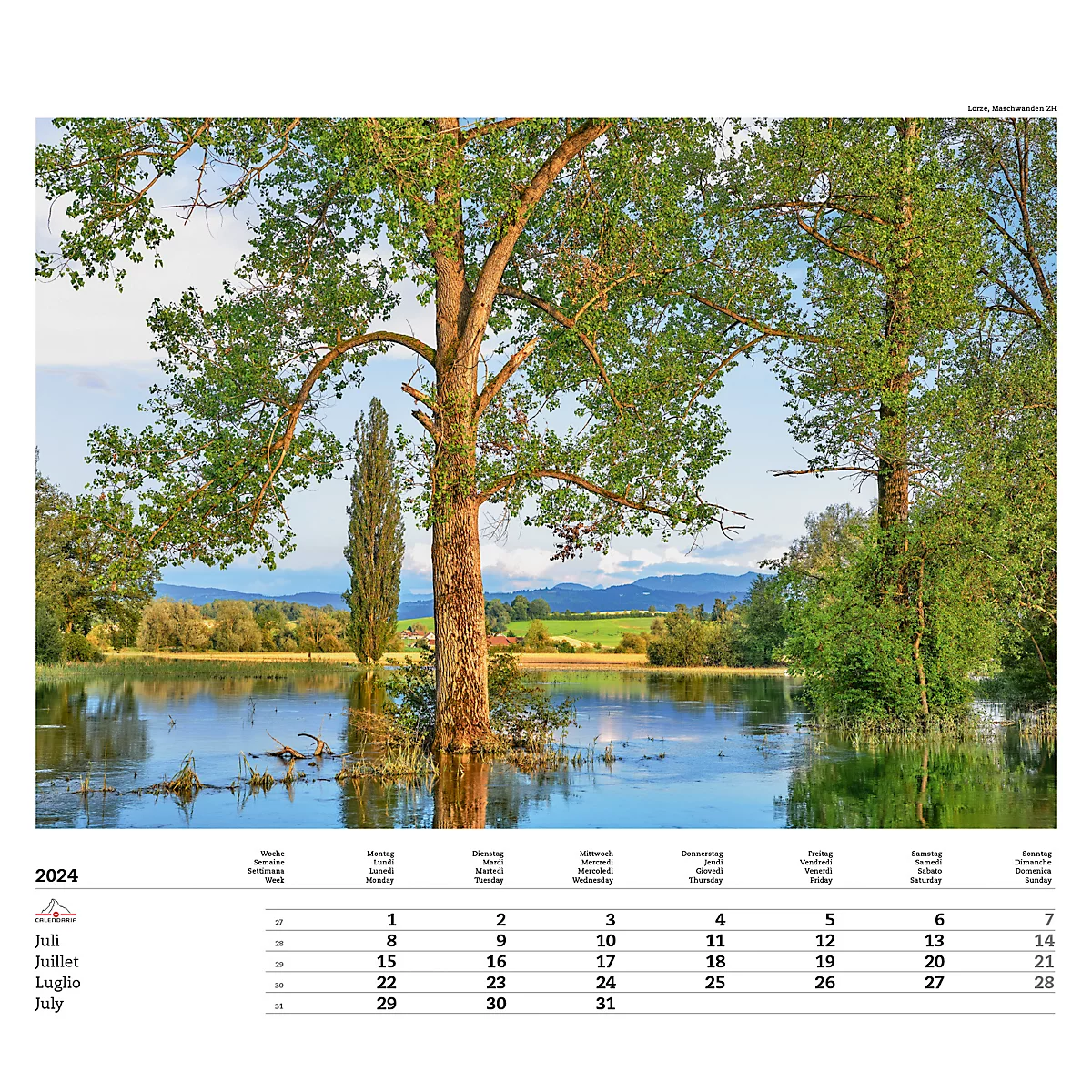 Calendrier illustré 'arborescent' Swiss Trees, L 490 x H 440 mm, format horizontal, calendrier DE/F/I/GB